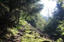 Du col de Morteville au col des Charbonniers